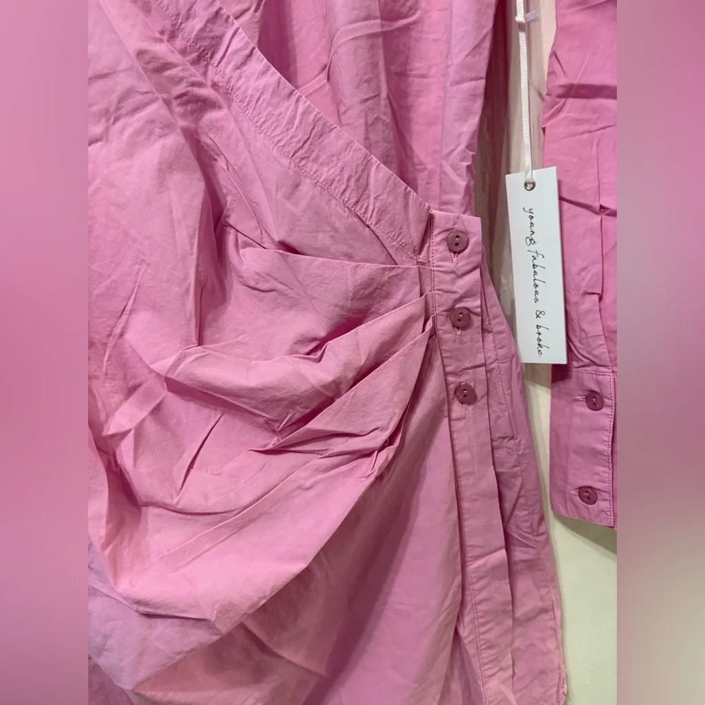 Young Fabulous & Broke Pink Button-Up Dress